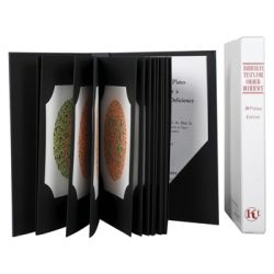 GIMA OF ISHIHARA - 24 LÁMINAS WITH NUMBERS