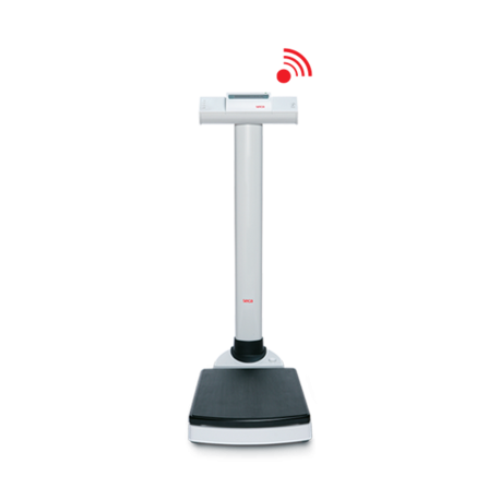 SECA 704 - COLUMNA CLASE III CLASS FÖR ATT GÖRA EN 300 KG CAPACITY