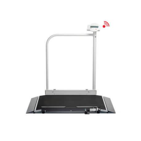 SECA DIGITAL BABQ PESA PERSONEN SECA 677 - CAPACITY 300 KG.