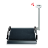 SECA 665 EMR READY ELECTRONIC WHEELCHAIR SCALE - CAPACITY 300 KG