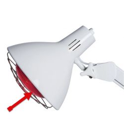 GIMA BOMBILLA REPÚBLICA PARA TERAPIA INFRAROJOS - 250W