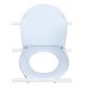MORETTI ADVISORY E TAPA PARA RP761