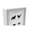 GIMA OPTOTIPO LUMINOSE COM ANIMAIS - 5.5 METROS