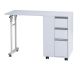 WEELKO DOUBLE MANICURE TABLE WITH EXTRACTOR FAN + BAG FOR DUST COLLECTION AND HANDREST CUSHION (DISTAL)