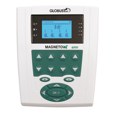 PROFESSIONAL VETERINARY GLOBO FOR MAGNETOTERAPIA-MAGNETOVET 4000