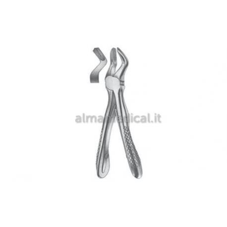 MORETTI Quality over Quantity (QoQ) Releases Vertaling: