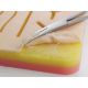 GIMA SUTURE TRAINING PAD WITH WOUNDS WITH MESH
