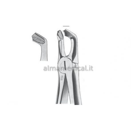 MORETTI PINZA DE EXTRACCION MANGO INGs 79