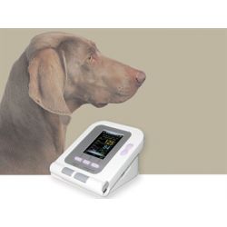 GIMA SPHYGMOMANOMÈTRE ÉLECTRONIQUE VÉTÉRINAIRE