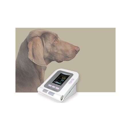 GIMA ESFIGMOMANÓMETRO ELECTRÓNICO VET