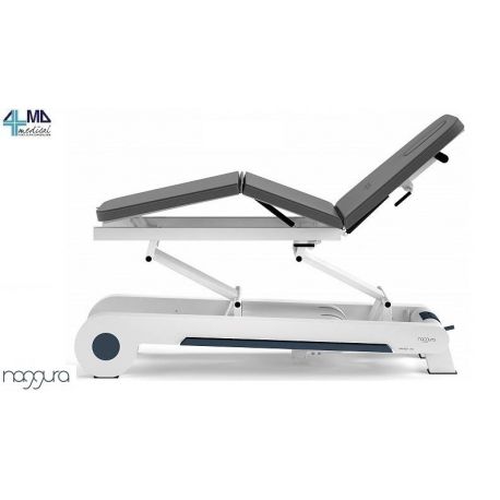 WEELKO CAMILLA ELÉCTRICA PARA FISIOTERAPIA - DOS SECÇÕES - 1 MOTOR - DIVERS COLORS - NAGGGGURA