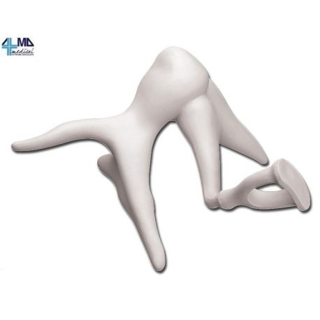 ALTAY SCIENTIFIC MODEL ANATO HUESITOS DE LA OREJA