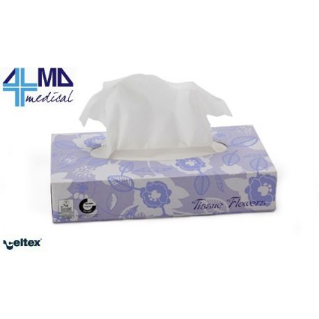 PAINS DE PAPEL KLEENEX