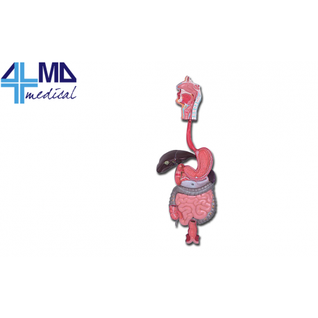 SISTEMA DE ALTAÇÃO