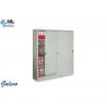 PINTENARY GALENO 2 PUERTAS CORREDERS MET VIODY PANEL 8 STANTANT
