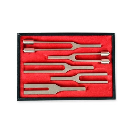 GIMA 5 DIAPASONS OF ALLATION