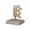 HIGHY MODEL OF ADVANCED OSTEOPOROSIS PATHOLOGY