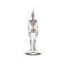 HIGHY SCIENTIFIC MINI SKELETON “SHORTY”, ABOUT SOOTHE