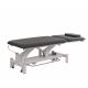 WEELKO ELECTRIC MASSAGE BED (PVC, 1 MOTOR)-TORAC